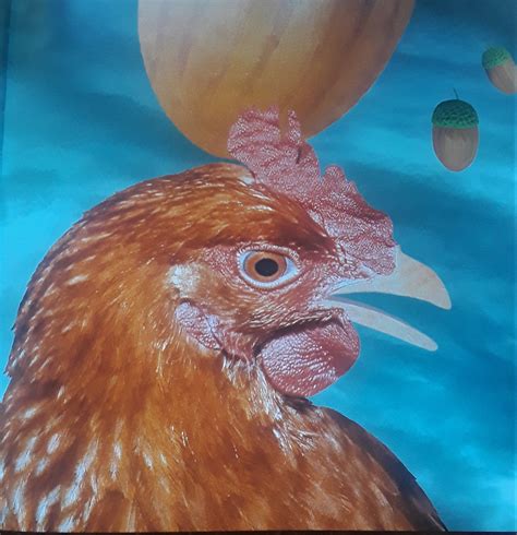 Henny Penny and Friends Reimagined: “What’s Fair is Fowl, What’s Fowl ...