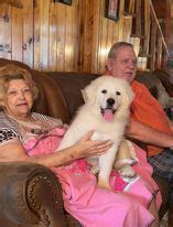 Click here to go to this photo