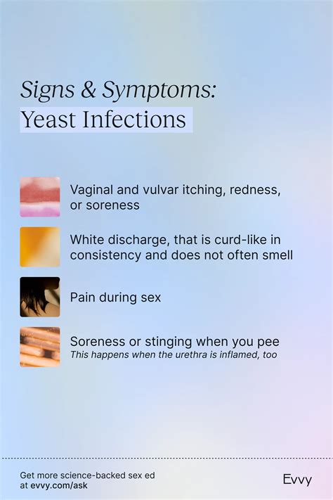 The Ultimate Guide to Yeast Infections - sex with yeast