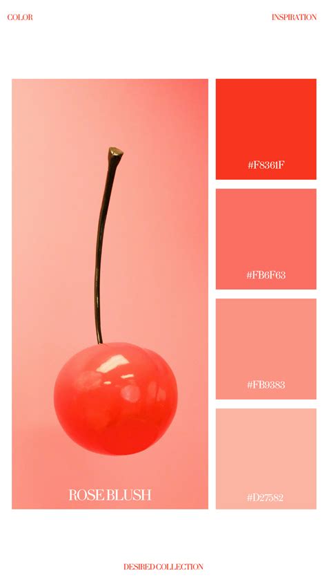 Rose Blush | Color palette pink, Blush color palette, Unique color names