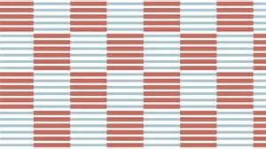 Expert tips for when to cut back Russian sage annually | Homes and Gardens