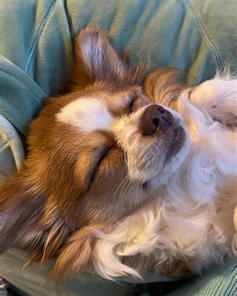 Nixxi | 💙 ️ | Instagram