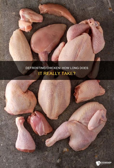 Defrosting Chicken: How Long Does It Really Take? | CyChicken
