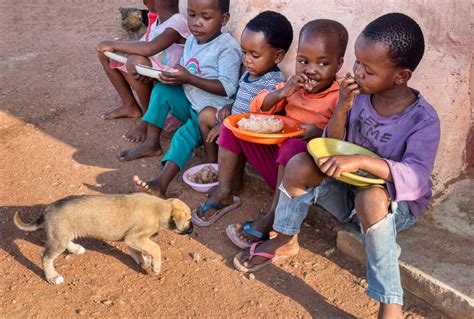 How CCP is Working to Reduce Rabies Cases in Côte d'Ivoire