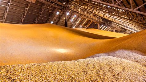 Understanding the Impact of Climate on Grain Storage Conditions | Buildings-UK