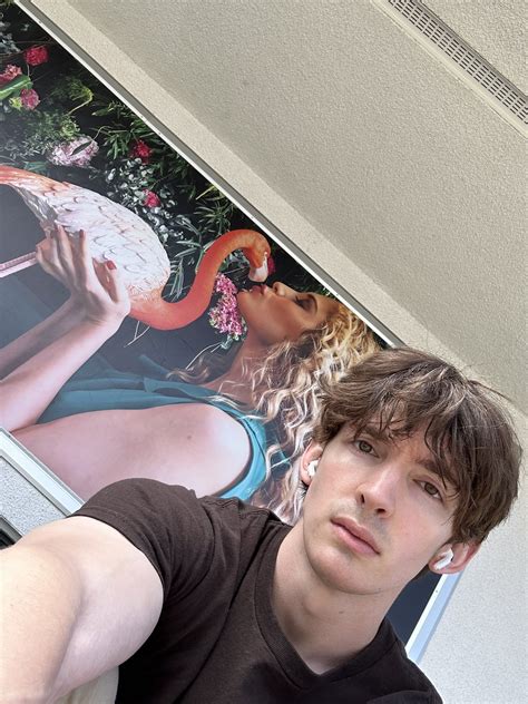 GRHIEDRG | Albert/flamingo, Funny flamingo, Flamingo/albert