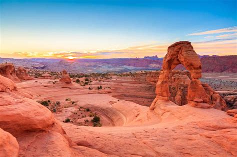 34 Facts About Choko - Facts.net