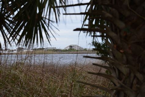 Pictures of Jami Ferrell