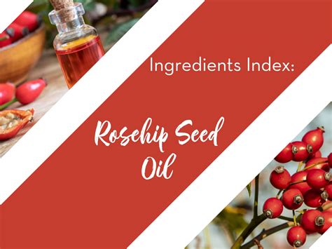 Ingredients Index: Rosehip Seed Oil