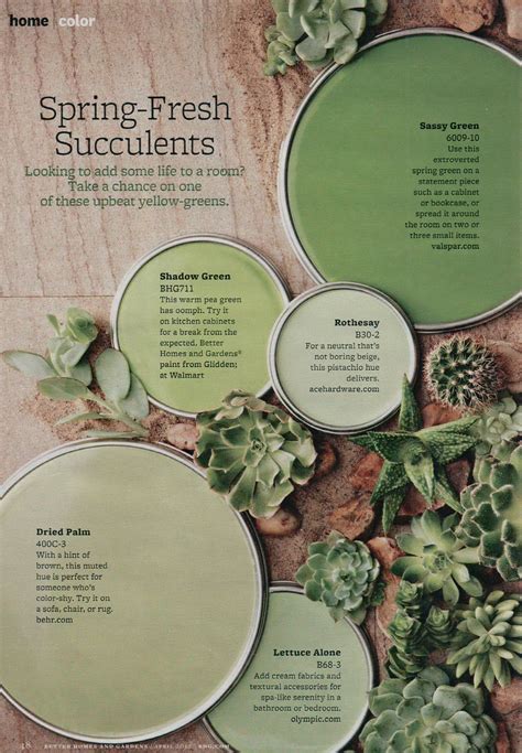 Picking The Perfect Shade Of Warm Green Paint Color For Your Home ...