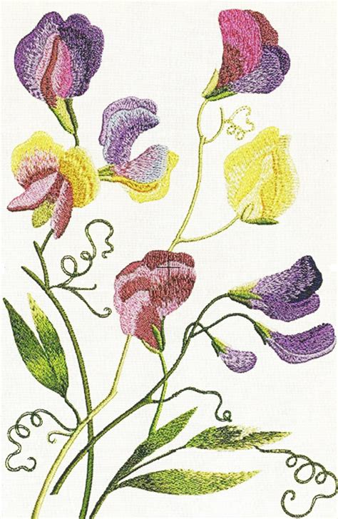 SWEET PEAS - Single Machine Embroidery Design File for 6x10" Hoop in 7 ...