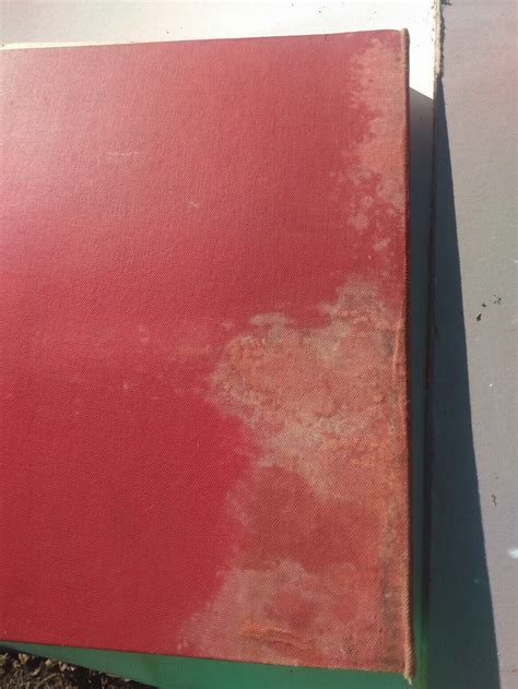 100 Nudes PHOTO PORTFOLIO 1923 | eBay