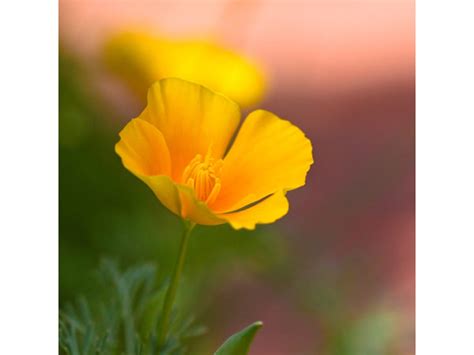 Kylie Knight Exclusive Porn Videos