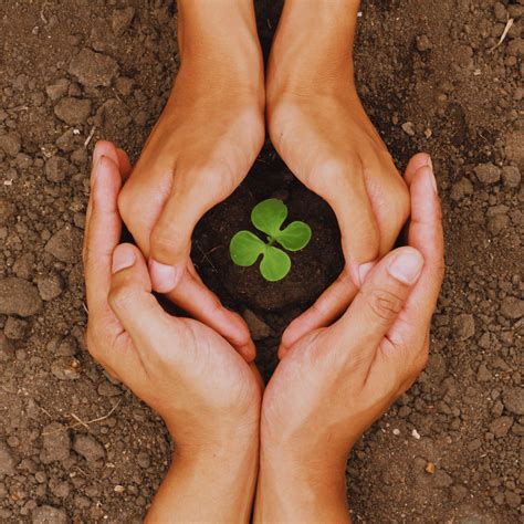 Conservation vs. Preservation in Environmental Practices