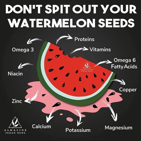 Pin on Nutrition I | Benefits of watermelon seeds, Watermelon benefits, Food health benefits
