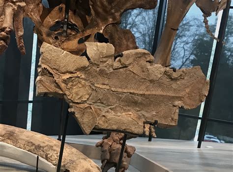 Yellow Wood Academy & UNEA | Clear Sky Academy Partnership — Yellow ...