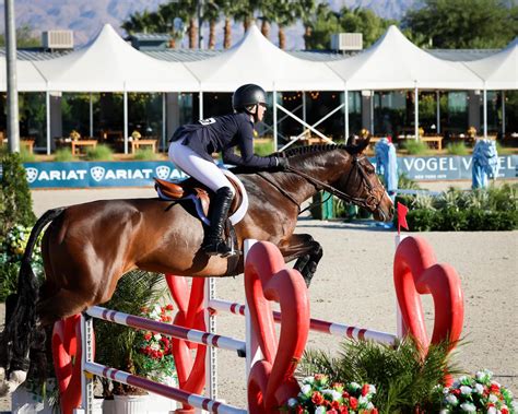 Meet Lady Bird: A Super Model Who Gets the Job Done | US Equestrian