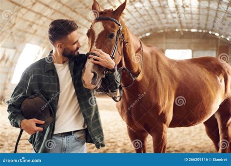 Positive Emotions. Front View Stock Photo - Image of mare, friendship ...