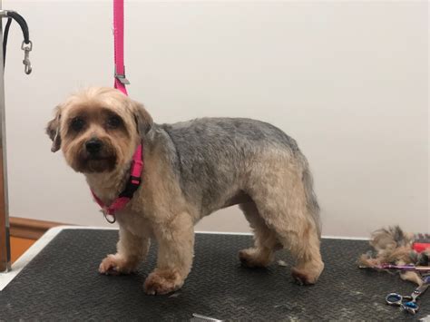 Online booking - Tabby & Jack's Middleton