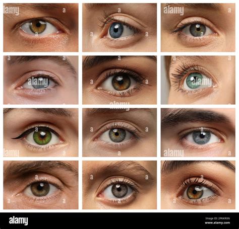 Different Types Of Greens