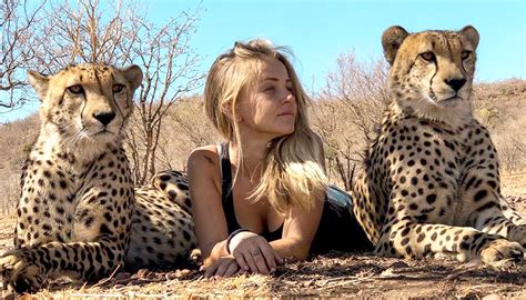What Are Cheetahs Predators