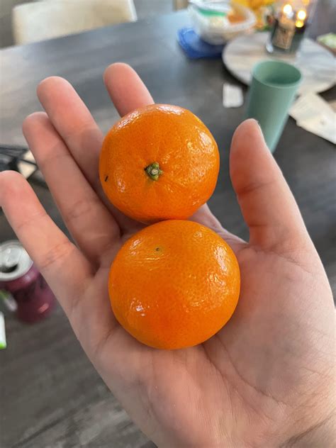 Are Cutie Oranges Bad For Dogs