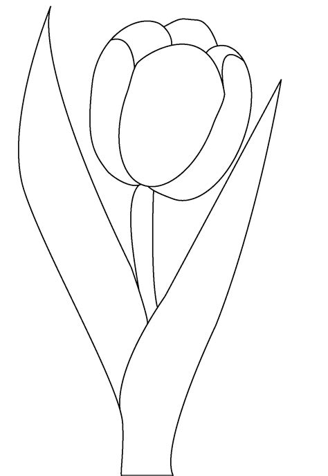 Tulip Coloring Page