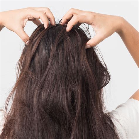 Oil Massage For Your Scalp at Tamara Juarez blog