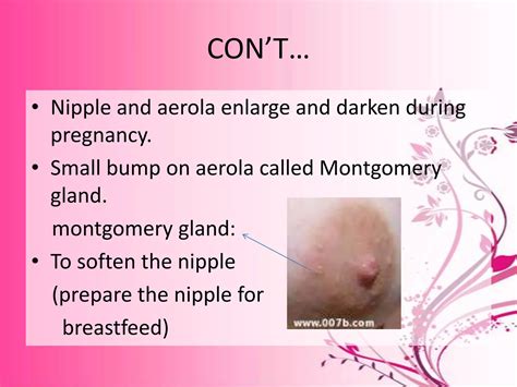 Breastfeeding | PPTX