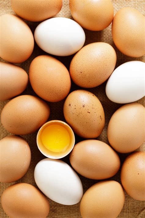 What is an egg, anyway? Defining the parts of an egg - Eggs All Ways