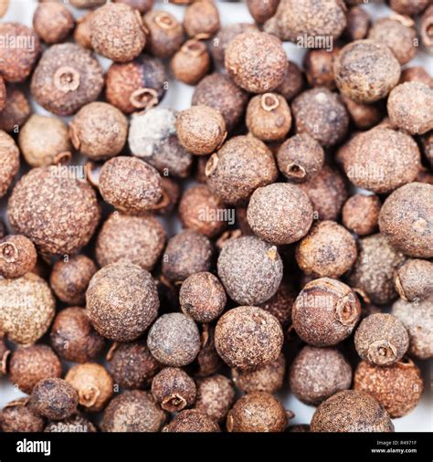 Dry allspice berries jamaica hi-res stock photography and images - Alamy