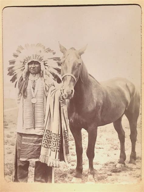 Horse Native American at Katherine Abigail blog