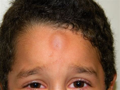 The Path Before Me: The Biggest Goose Egg I've Ever Seen