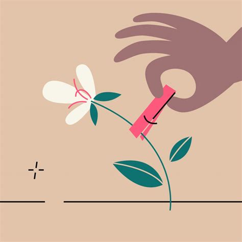 TUBAL LIGATION (FEMALE STERILIZATION) - Dr Berios