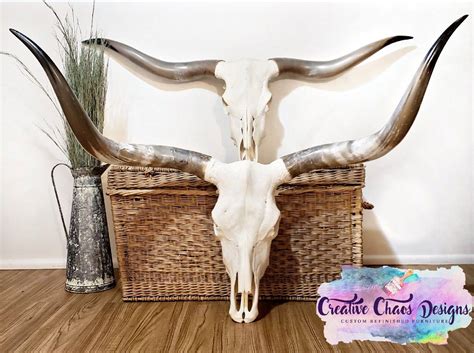 Longhorn skulls for sale longhorn cow skull decor – Artofit