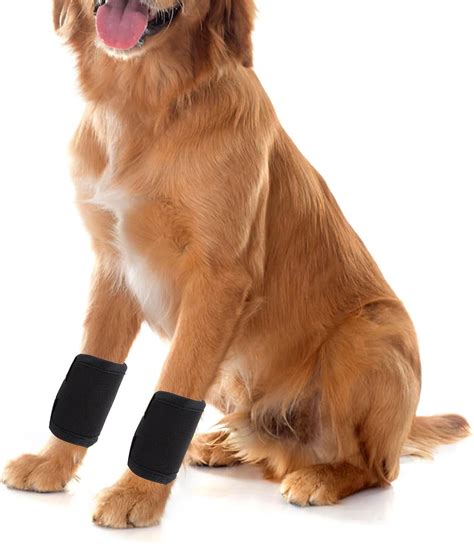 NICENEEDED Canine Front Leg Brace Paw Compression Sleeve, 1 Pair Black ...