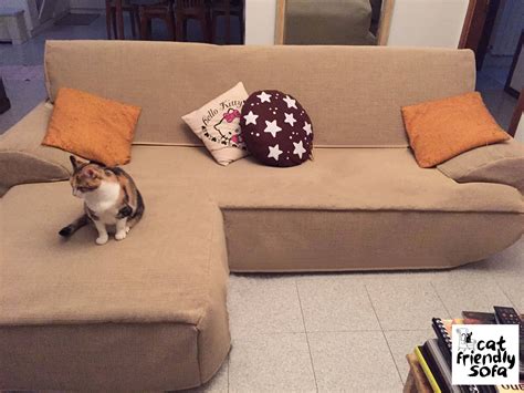 Couches Pet Proof at Cathy Remington blog