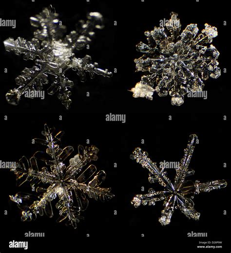 Snowflake microscope hi-res stock photography and images - Alamy