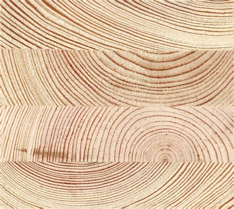 Glued Laminated Timber (Glulam) End Grain - Architextures