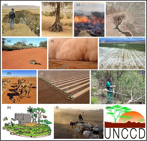 Land Degradation & Development | Environmental & Soil Science Journal ...