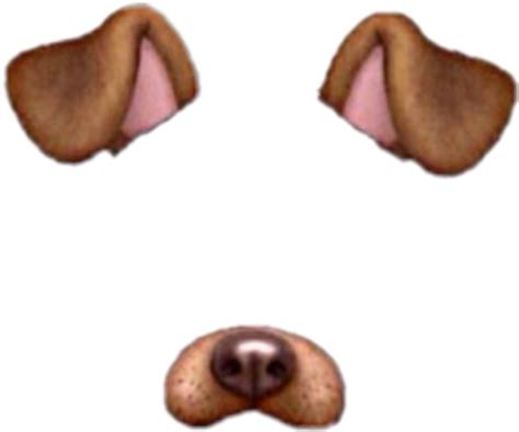 Download Snapchat Dog Filter Png Filter Snapchat Dog - Snapchat Dog ...
