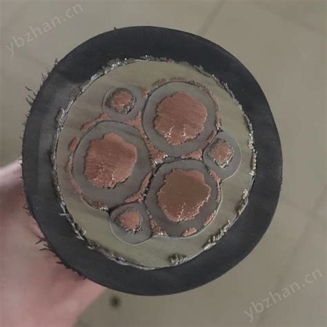 MVFP-1.9/3.3KV矿用变频电缆-仪表网