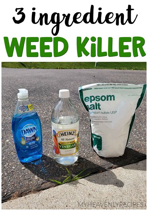 How To Make Homemade Weed Killer - Plants For Gift