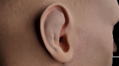 Trauma to the external ear: classification, causes, symptoms, diagnosis and treatment