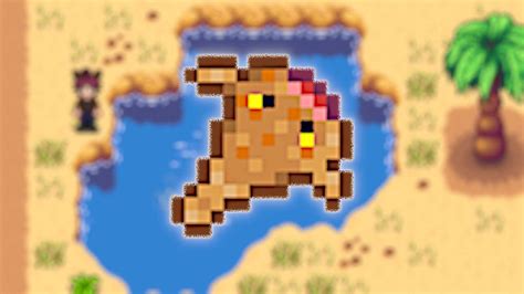Where to Catch Sandfish in Stardew Valley - Power Up Gaming