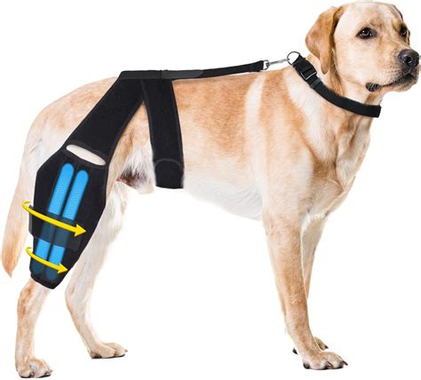Amazon.com : Dog Knee Brace for Torn ACL Hind Leg, Strong Dog Leg ...