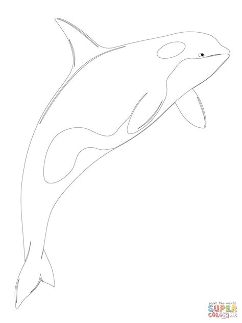 Killer Whale Coloring Pages For Kids at GetColorings.com | Free ...
