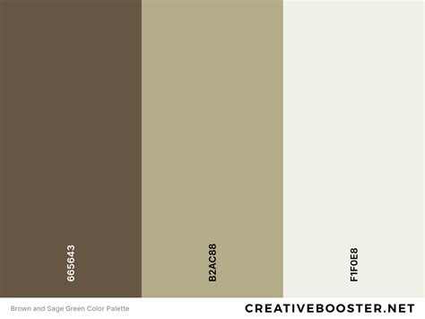 25+ Best Colors That Go With Sage Green (Color Palettes) – CreativeBooster