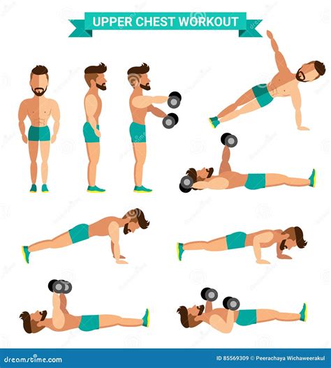 The Best Upper Chest Workout for Men Stock Vector - Illustration of ...