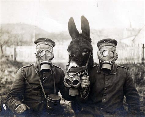 Two German Soldiers and Their Mule Wearing Gas Masks, 1916 - Rare ...